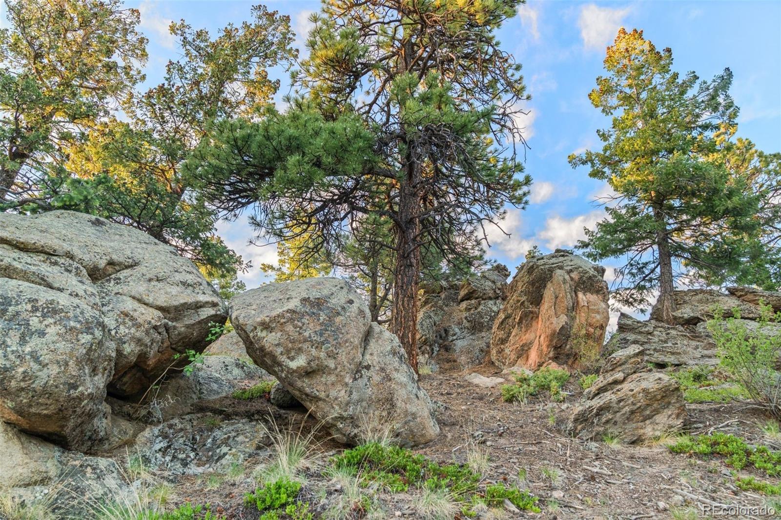 6371 Canyon Creek Road Evergreen, CO 80439 - Photo 39 of 50 a backyard of a house with lots of green space