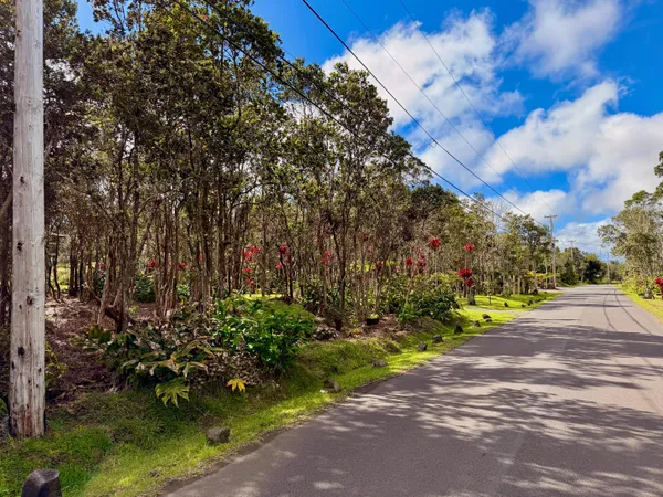 a view of a street with a tree
