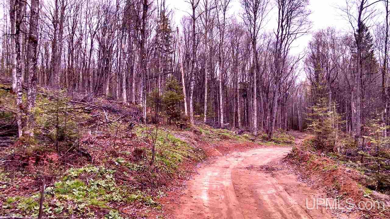 Tbd Tower Road Munising, MI 49862 - Photo 2 of 4 Gallery Image 2