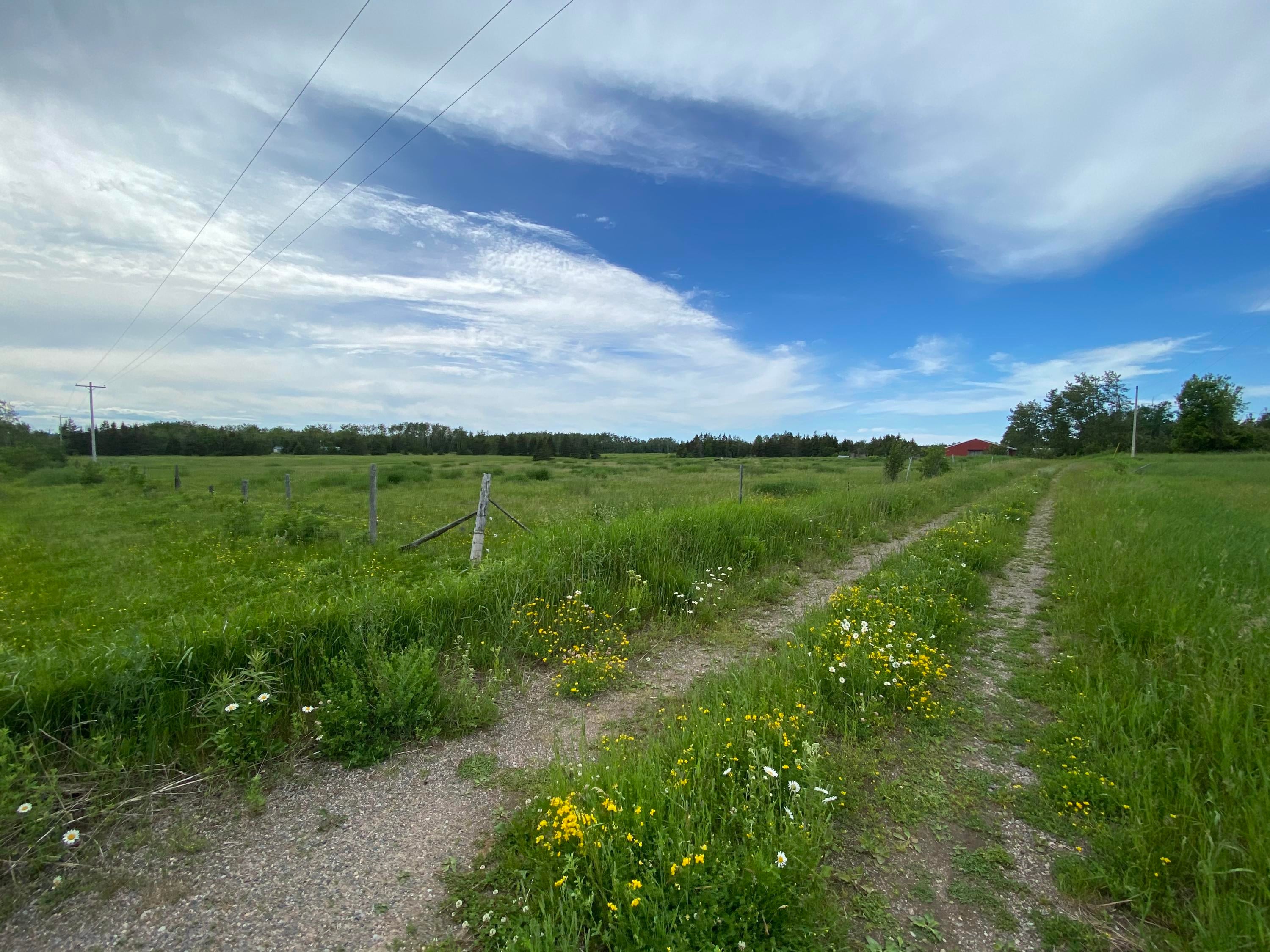 761 East 12 Mile Road Dafter, MI 49724 - Photo 3 of 10 Gallery Image 3