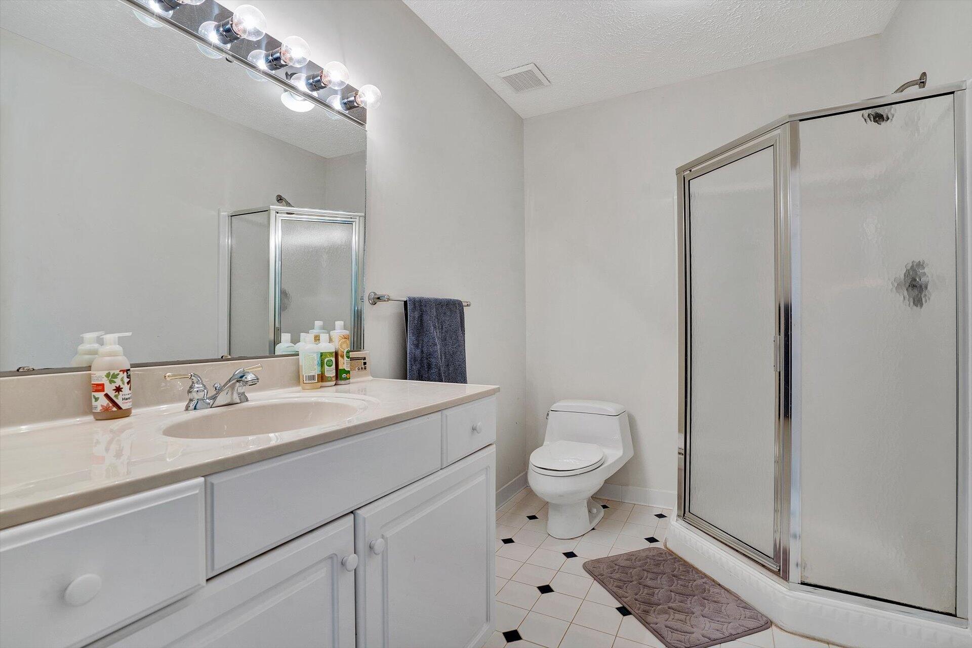 2446 Deer Run Road Ferrum, VA 24088 - Photo 106 of 146 a bathroom with a sink a toilet a mirror and shower