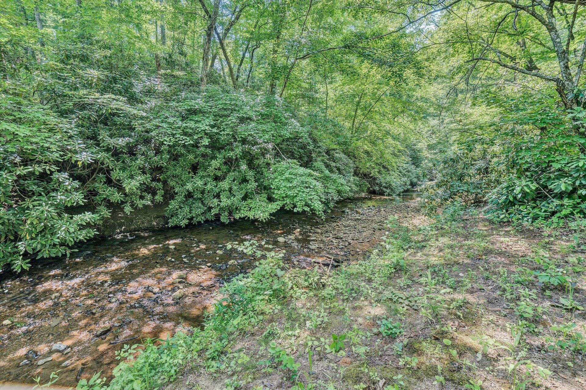 2446 Deer Run Road Ferrum, VA 24088 - Photo 136 of 146 Wildlife Galore