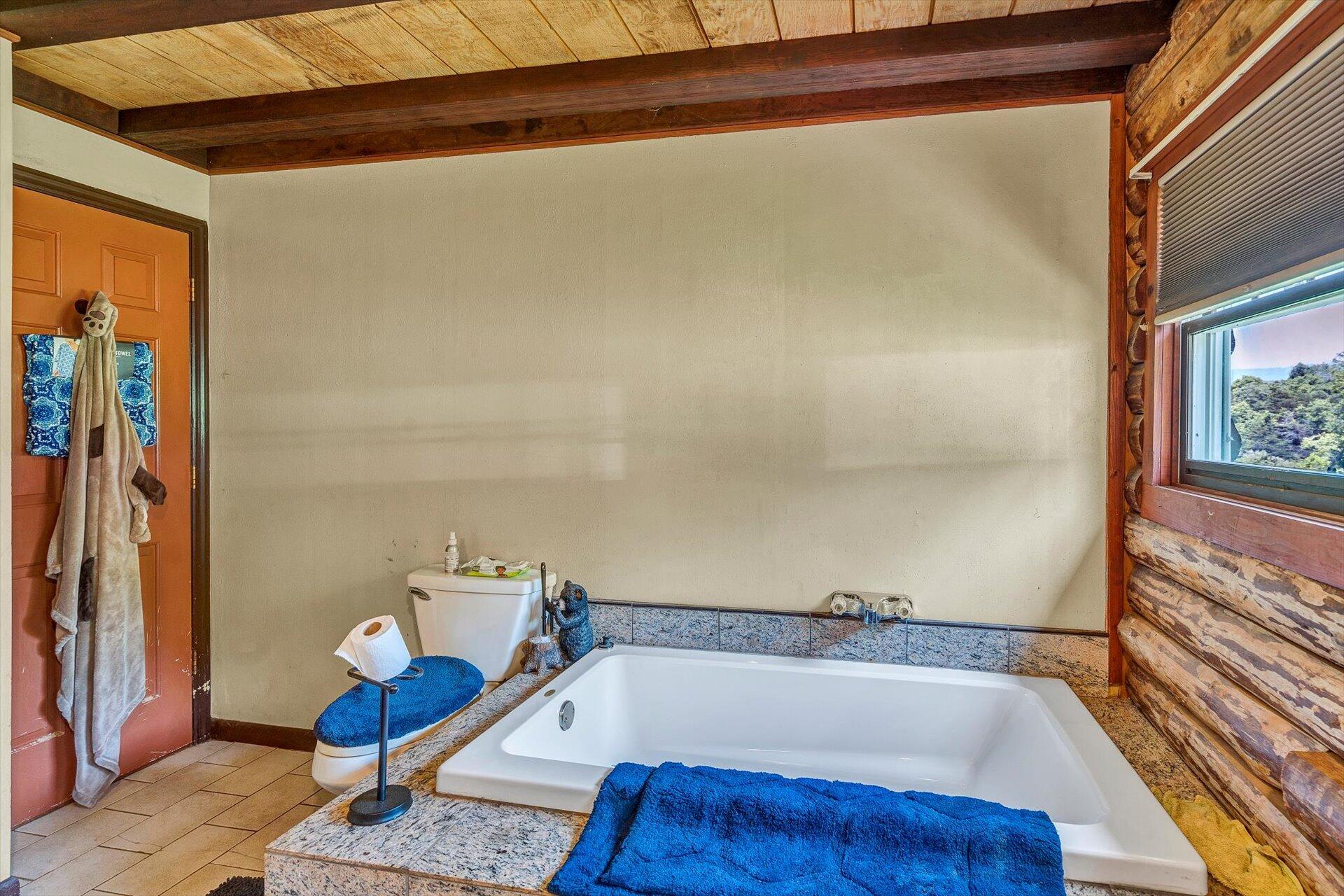 2446 Deer Run Road Ferrum, VA 24088 - Photo 16 of 146 Cottage - Full Bath - Entry Lvl02