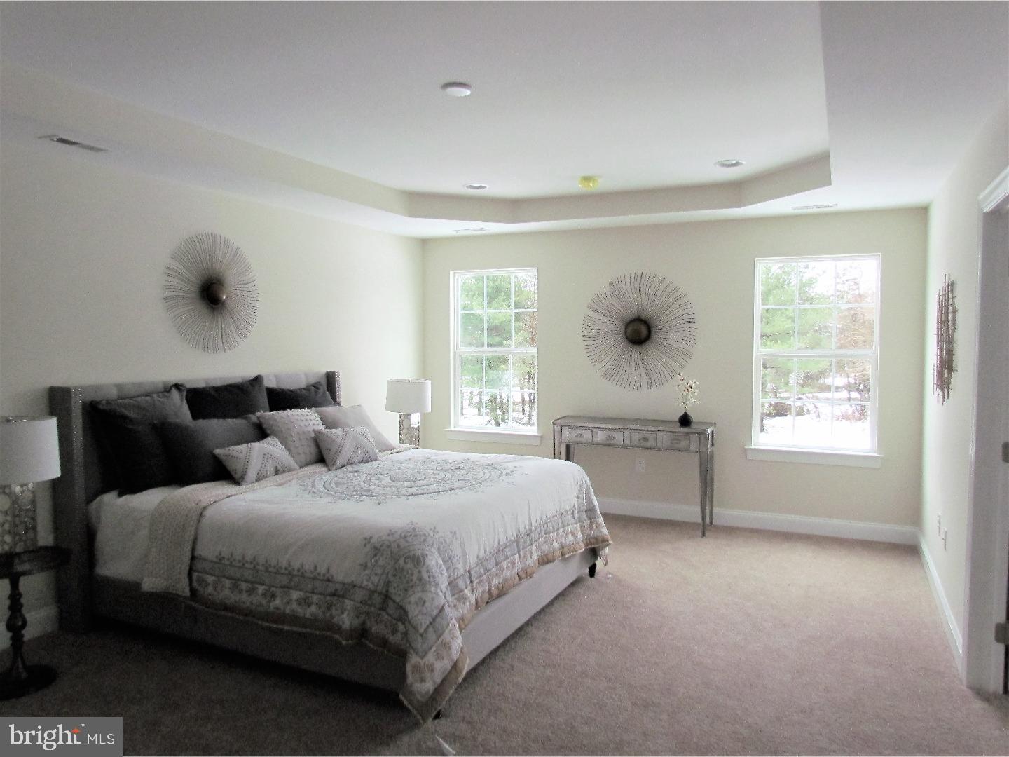 6530 Stump Road Pipersville, PA 18947 - Photo 13 of 25 Master Bedroom