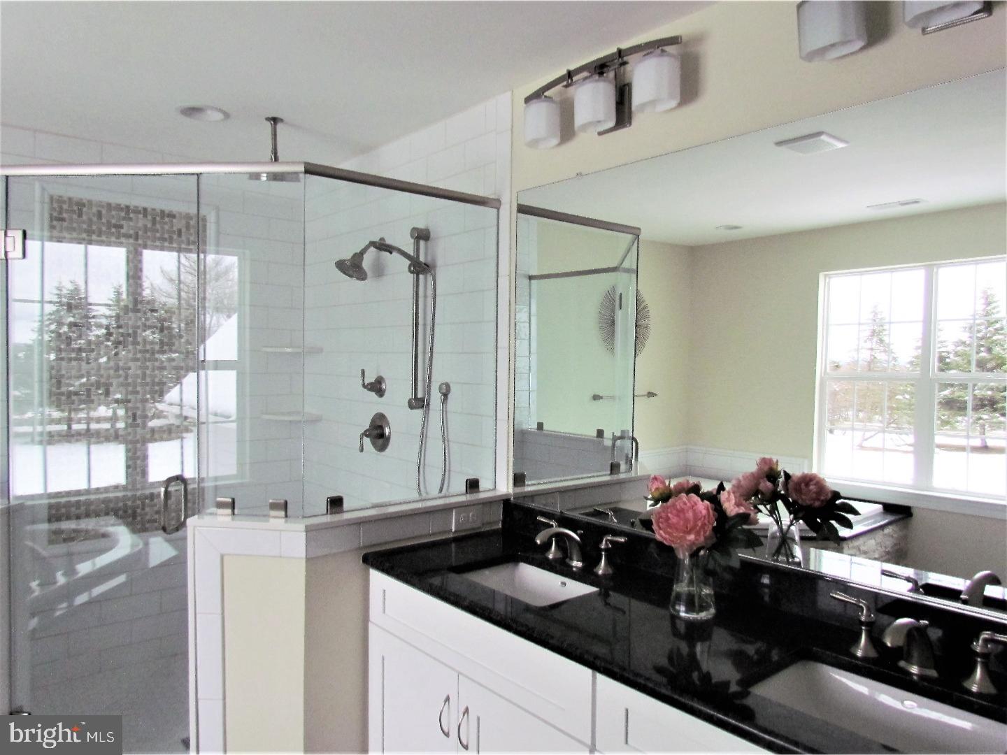 6530 Stump Road Pipersville, PA 18947 - Photo 16 of 25 Master Bathroom