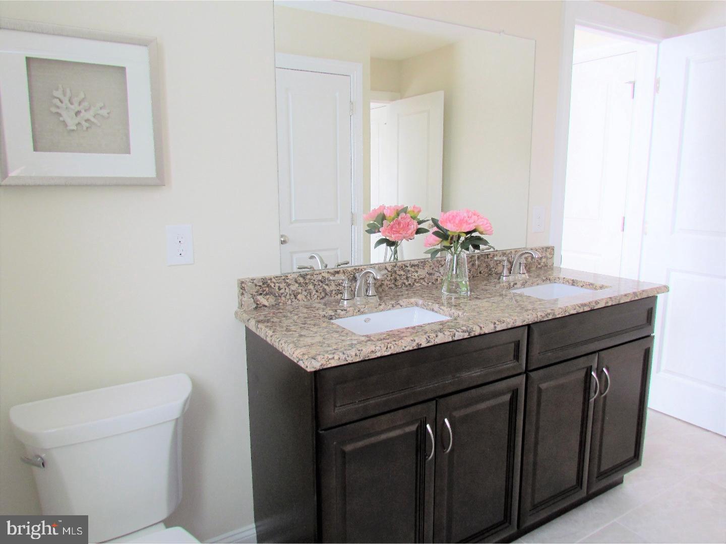 6530 Stump Road Pipersville, PA 18947 - Photo 19 of 25 Bathroom