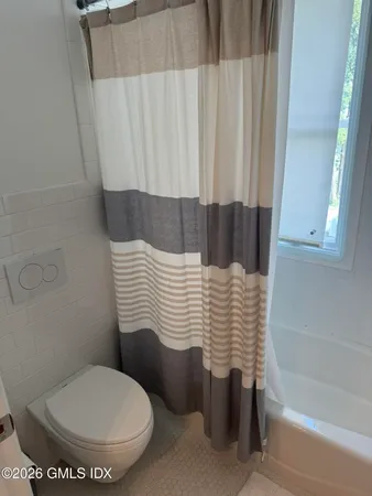 a bathroom with a toilet and a bathtub