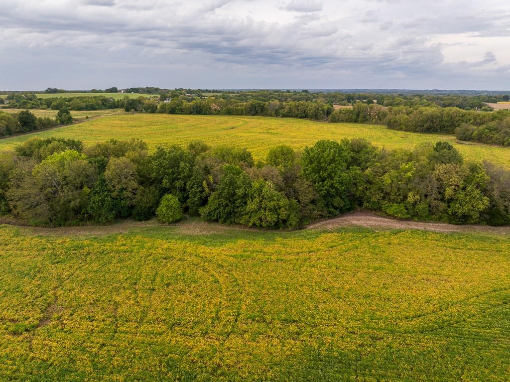 0 East State Rte P Highway Pleasant Hill, MO 64080 - Photo 16 of 44