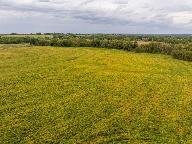 $1,000,000 | 0 East State Rte P Highway, Pleasant Hill, MO 64080