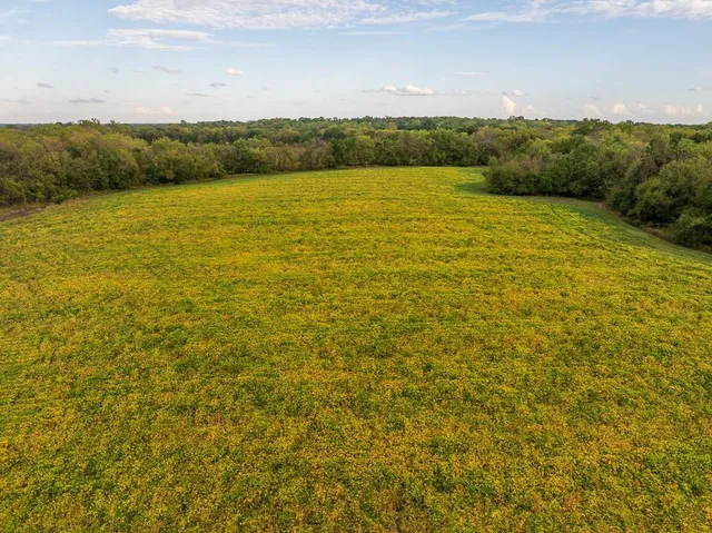 $1,000,000 | 0 East State Rte P Highway, Pleasant Hill, MO 64080