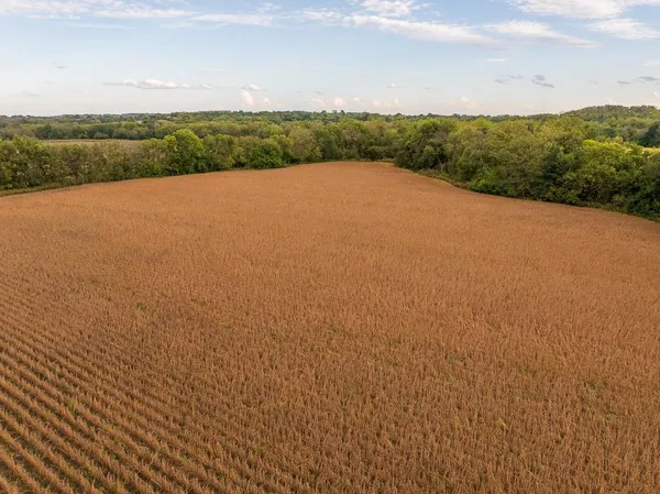$1,000,000 | 0 East State Rte P Highway, Pleasant Hill, MO 64080