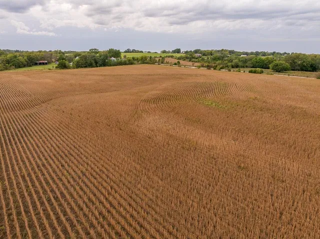 $1,000,000 | 0 East State Rte P Highway, Pleasant Hill, MO 64080