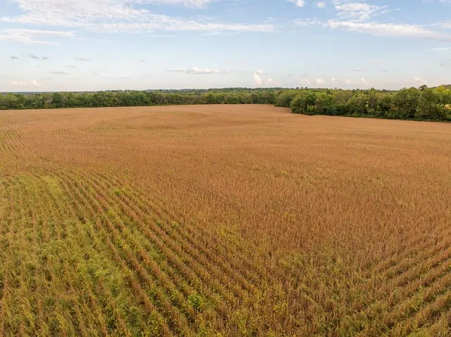 $1,000,000 | 0 East State Rte P Highway, Pleasant Hill, MO 64080