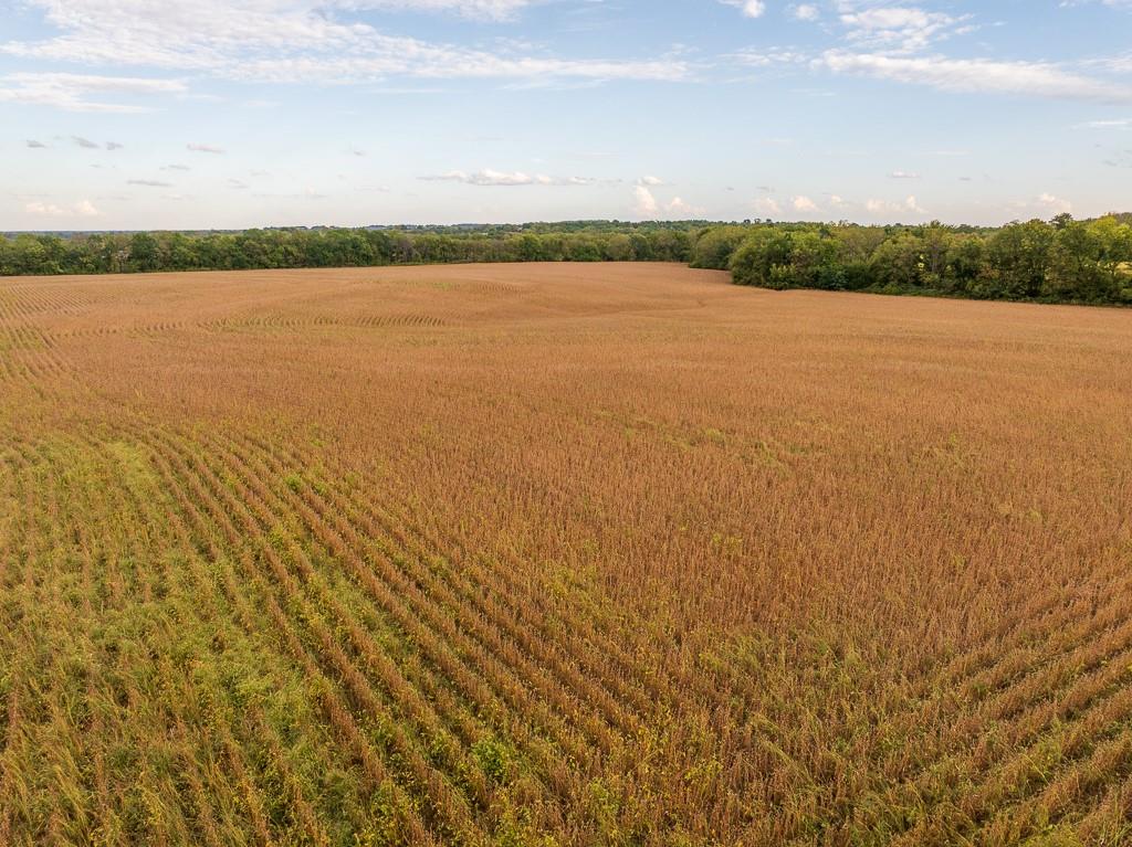 0 East State Rte P Highway Pleasant Hill, MO 64080 - Photo 23 of 44