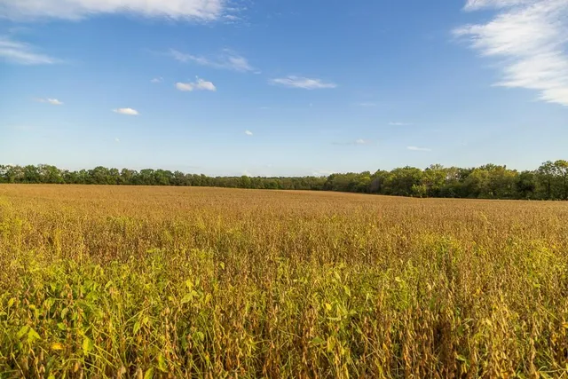 $1,000,000 | 0 East State Rte P Highway, Pleasant Hill, MO 64080