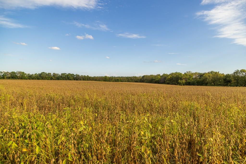 0 East State Rte P Highway Pleasant Hill, MO 64080 - Photo 25 of 44