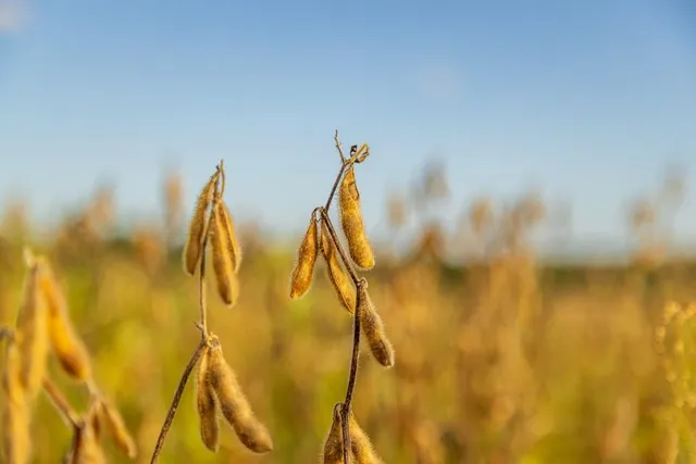 $1,000,000 | 0 East State Rte P Highway, Pleasant Hill, MO 64080