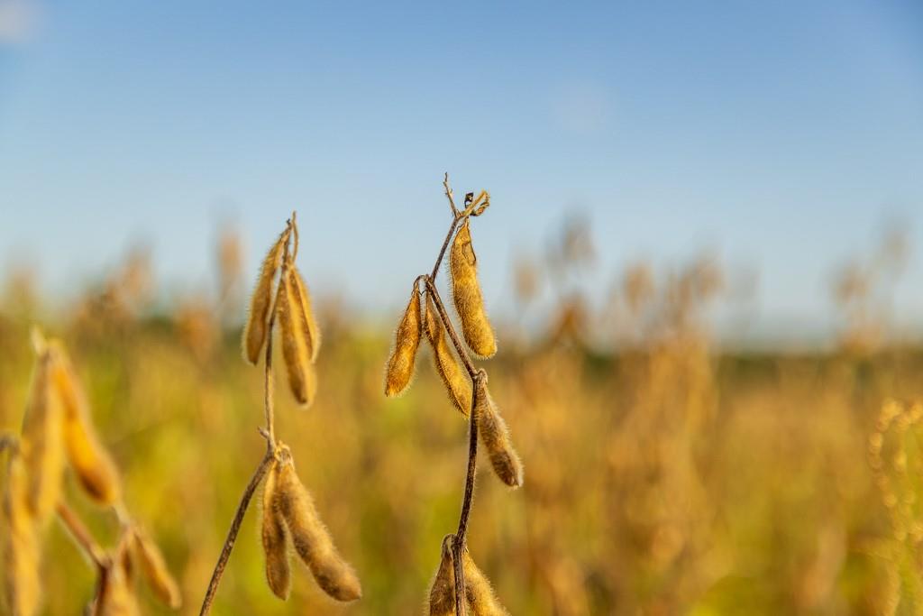 0 East State Rte P Highway Pleasant Hill, MO 64080 - Photo 26 of 44