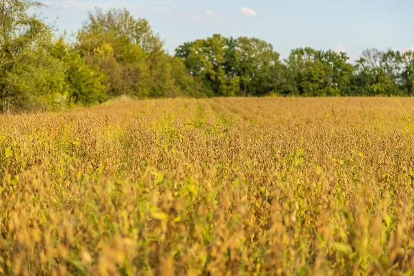 $1,000,000 | 0 East State Rte P Highway, Pleasant Hill, MO 64080