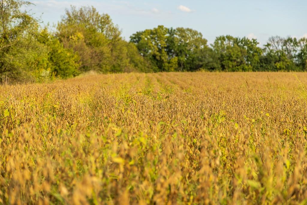 0 East State Rte P Highway Pleasant Hill, MO 64080 - Photo 27 of 44