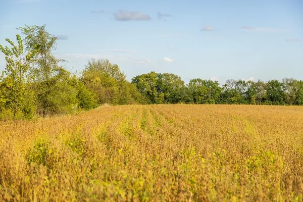 $1,000,000 | 0 East State Rte P Highway, Pleasant Hill, MO 64080