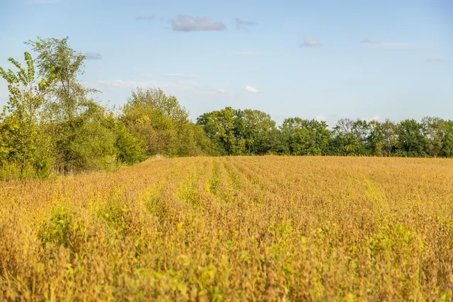 $1,000,000 | 0 East State Rte P Highway, Pleasant Hill, MO 64080