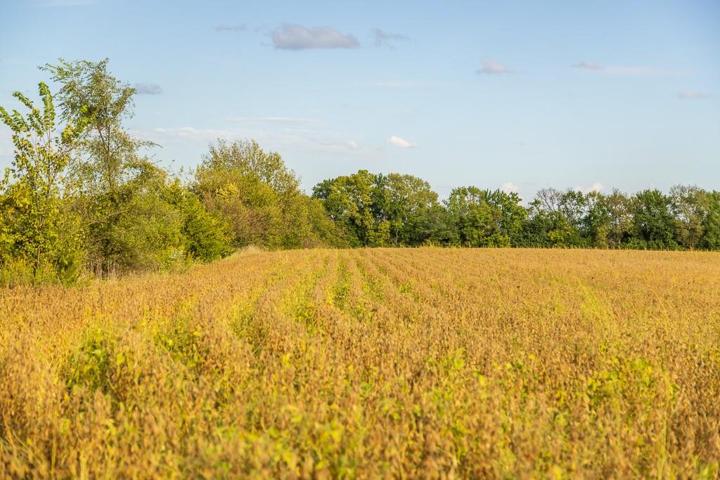 0 East State Rte P Highway Pleasant Hill, MO 64080 - Photo 28 of 44