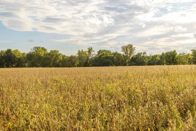 $1,000,000 | 0 East State Rte P Highway, Pleasant Hill, MO 64080