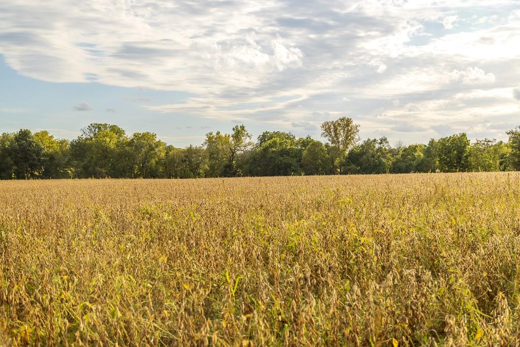 0 East State Rte P Highway Pleasant Hill, MO 64080 - Photo 29 of 44