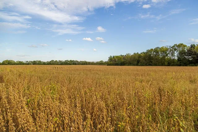 $1,000,000 | 0 East State Rte P Highway, Pleasant Hill, MO 64080