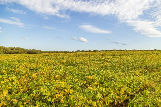 $1,000,000 | 0 East State Rte P Highway, Pleasant Hill, MO 64080