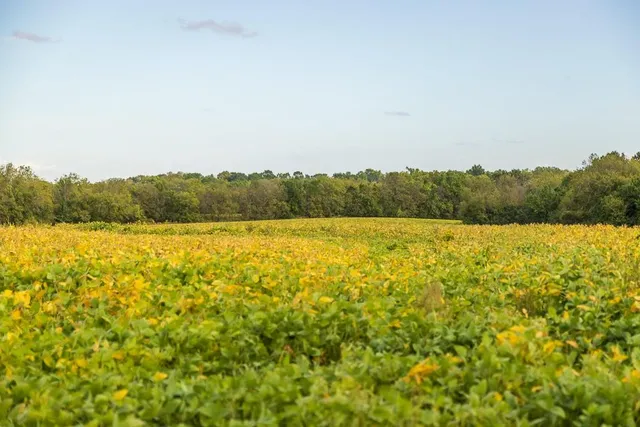 $1,000,000 | 0 East State Rte P Highway, Pleasant Hill, MO 64080