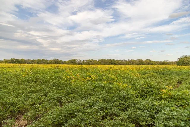 $1,000,000 | 0 East State Rte P Highway, Pleasant Hill, MO 64080