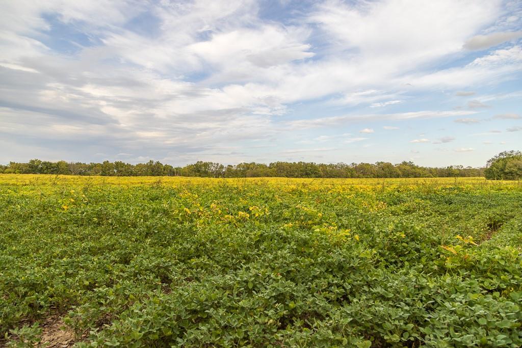 0 East State Rte P Highway Pleasant Hill, MO 64080 - Photo 38 of 44