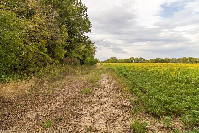$1,000,000 | 0 East State Rte P Highway, Pleasant Hill, MO 64080