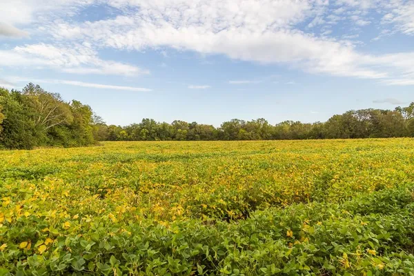 $1,000,000 | 0 East State Rte P Highway, Pleasant Hill, MO 64080