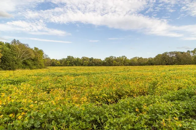 $1,000,000 | 0 East State Rte P Highway, Pleasant Hill, MO 64080