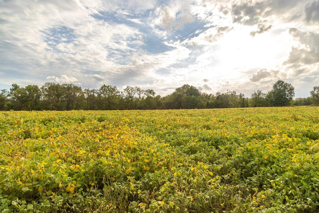 0 East State Rte P Highway Pleasant Hill, MO 64080 - Photo 41 of 44