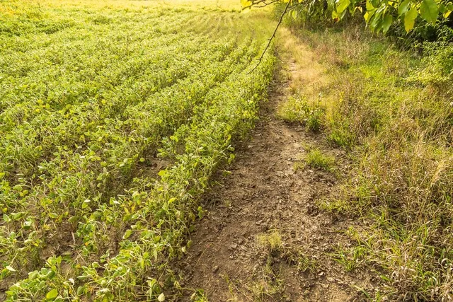 $1,000,000 | 0 East State Rte P Highway, Pleasant Hill, MO 64080