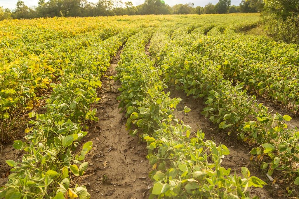 0 East State Rte P Highway Pleasant Hill, MO 64080 - Photo 44 of 44