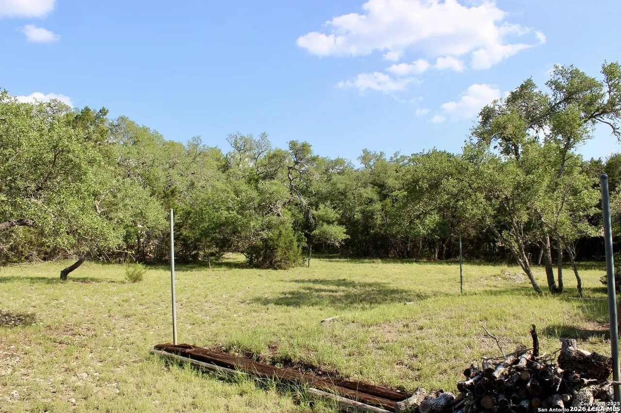 197 Rosenberry Bulverde, TX 78163 - Photo 6 of 11