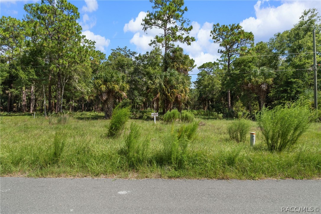 13707 West Foss Grove Path Inglis, FL 34449 - Photo 4 of 20 Gallery Image 4