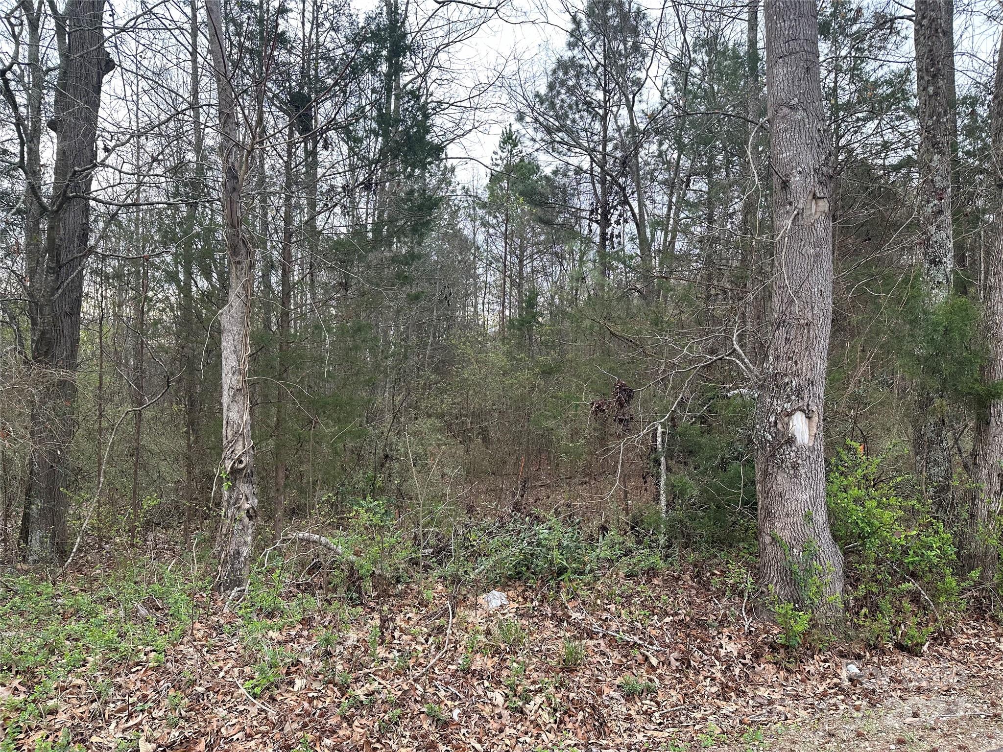 0 Zion Church Road Pacolet, SC 29372 - Photo 2 of 3