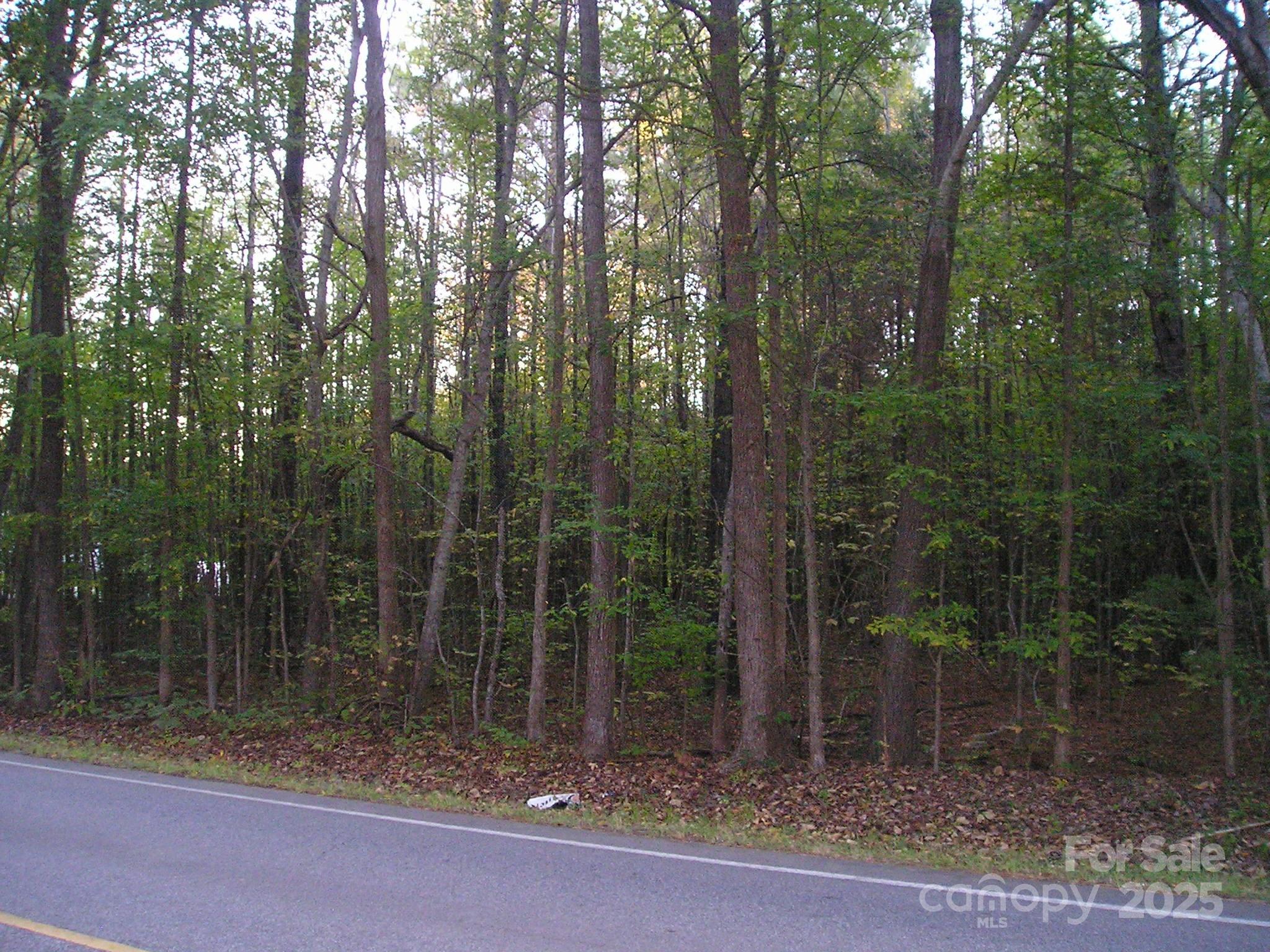0 Old Monroe Marshville Road Wingate, NC 28174 - Photo 2 of 8 a view of a forest with a trees