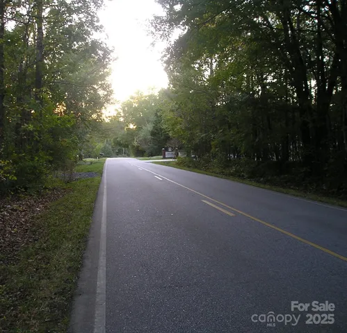 a view of a plant in a garden