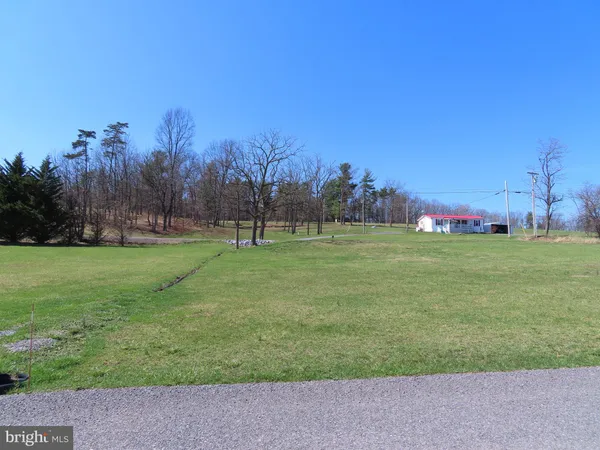 a view of yard with trees