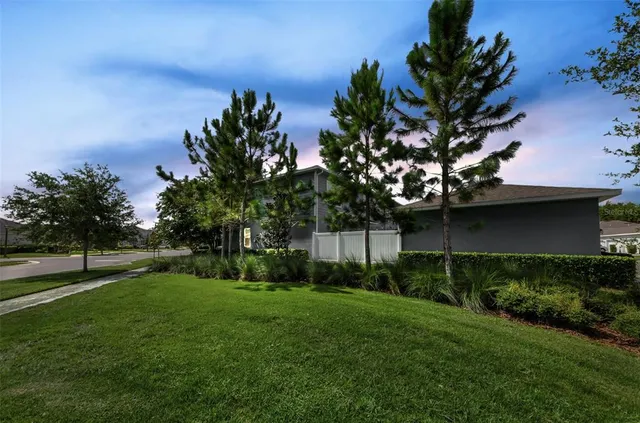 a view of a garden with a tree