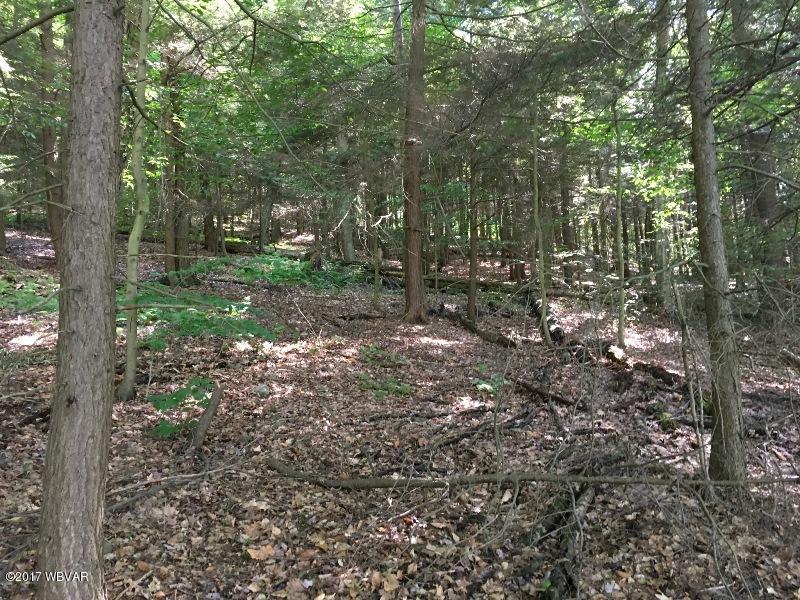 11163 49th Route Lawrenceville, PA 16929 - Photo 25 of 31 H-Land (7)