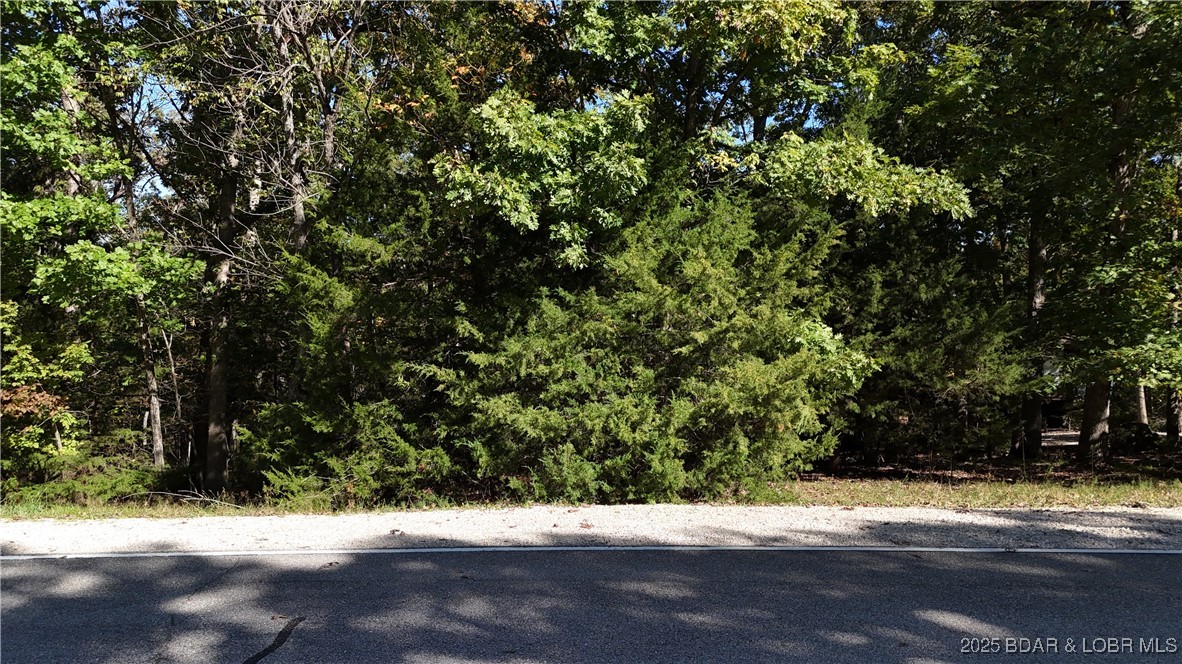 Lot 34 West Kays Point Road Four Seasons, MO 65049 - Photo 6 of 6