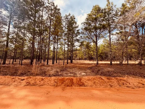 $290,000 | 0 Simmons Road, Mauk, GA 31058